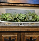 D&W Silks Asst Succulents in Long White Tray