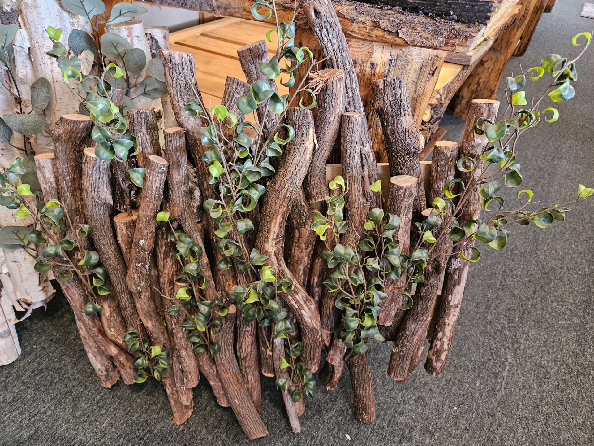 D&W Silks Dragonwood w/Ficus Benjamina Wall Hanging