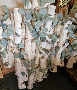 D&W Silks Birch w/Silver Dollar Branches Wall Hanging