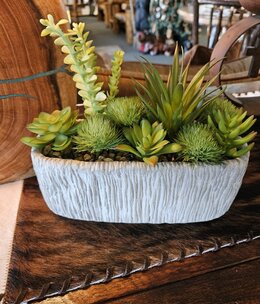 D&W Silks Succulents in Oblong Cement Planter