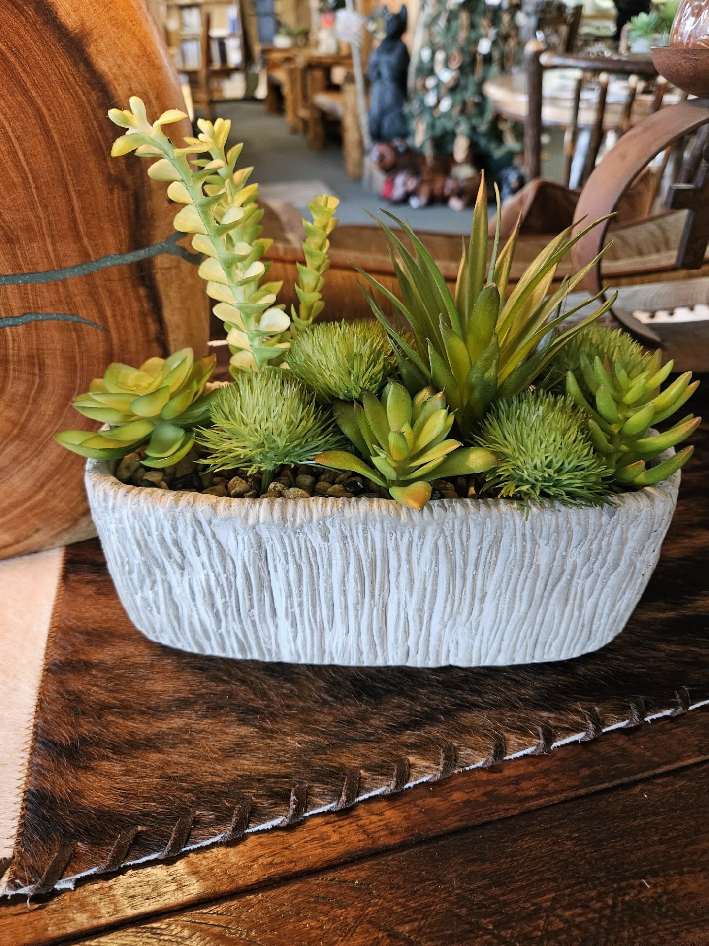 D&W Silks Succulents in Oblong Cement Planter