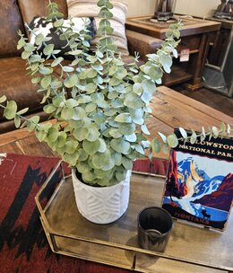 D&W Silks Eucalyptus in White Pot 15Diam x 20H