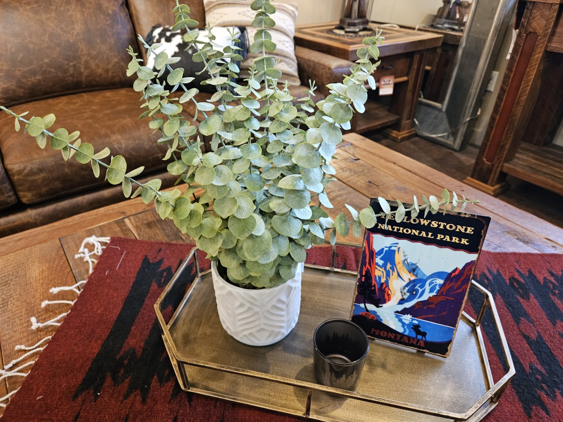 D&W Silks Eucalyptus in White Pot 15Diam x 20H