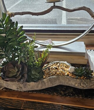 D&W Silks Asst Succulents on Cement Log 24x10x12H