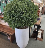 D&W Silks X-Large Boxwood Ball in Wh  Planter 58"H