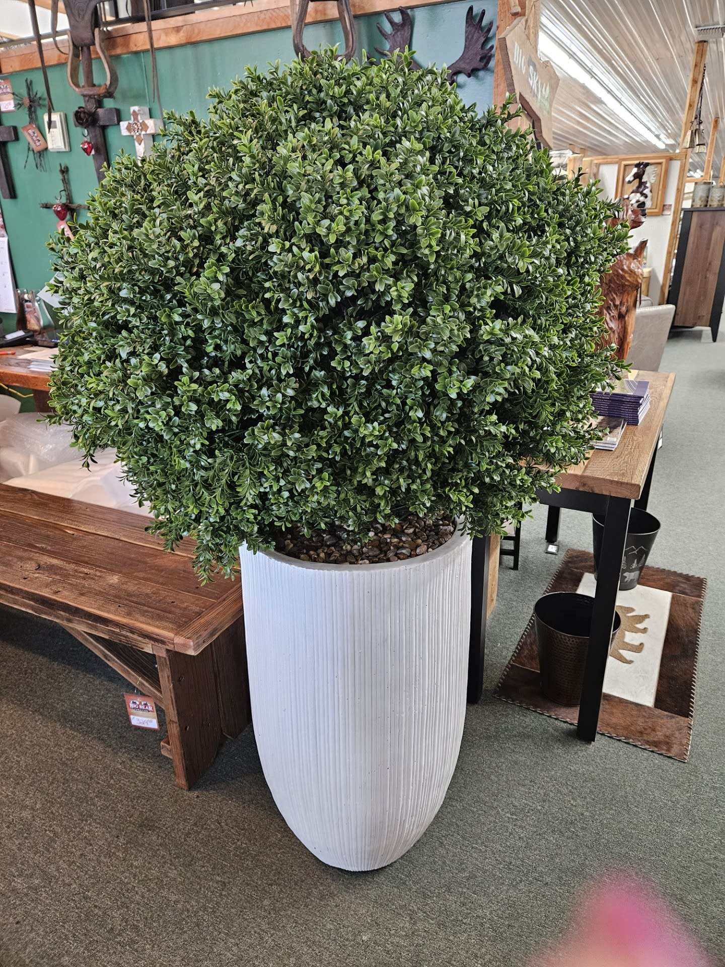 D&W Silks X-Large Boxwood Ball in Wh  Planter 58"H