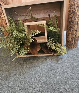 D&W Silks Wooden Shadow Box w/Mixed Ferrns & Succulents