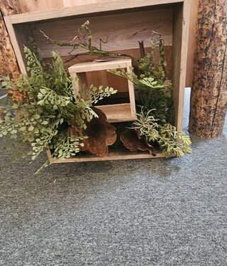 D&W Silks Wooden Shadow Box w/Mixed Ferrns & Succulents
