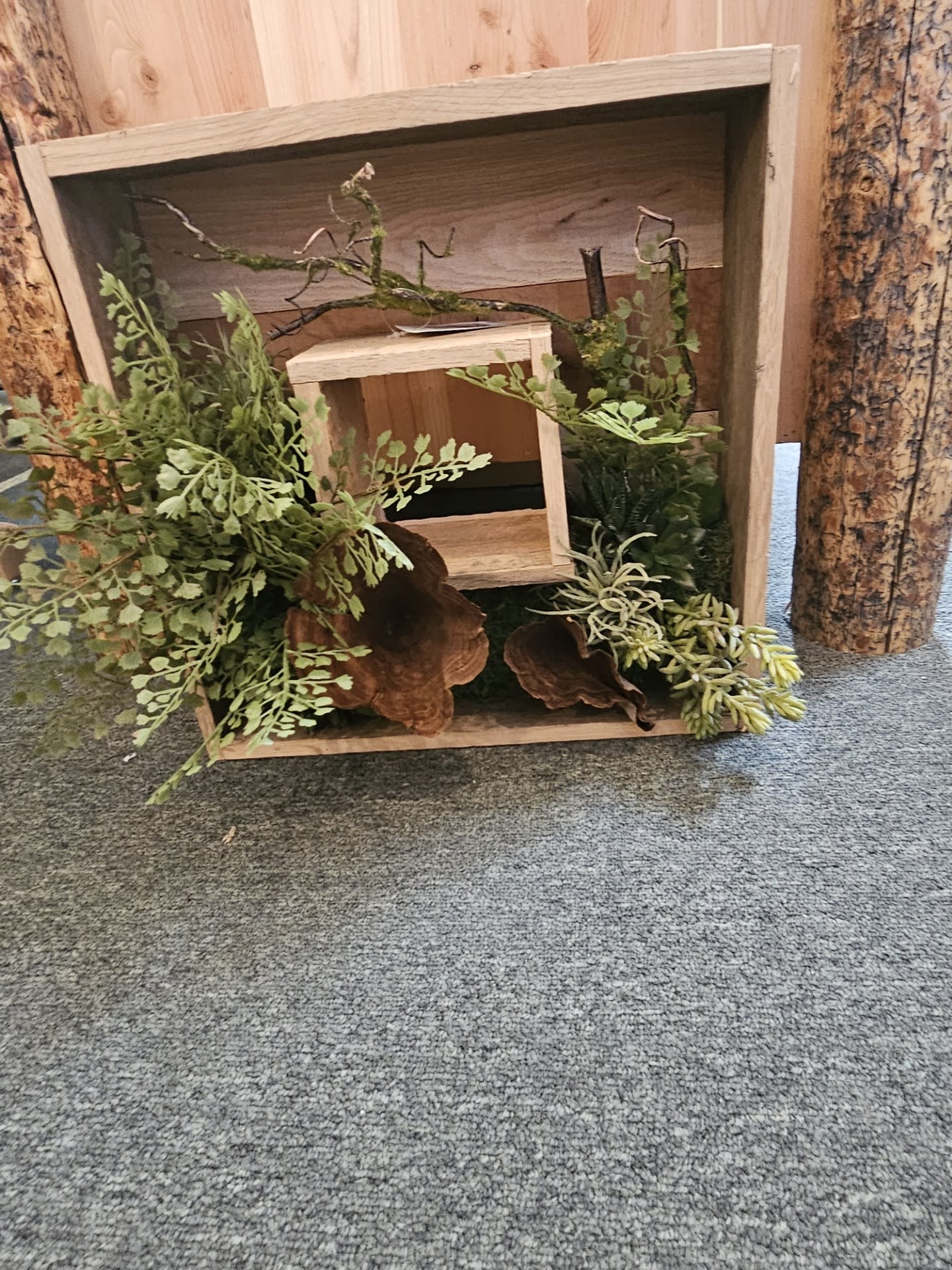 D&W Silks Wooden Shadow Box w/Mixed Ferrns & Succulents