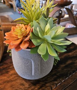 D&W Silks Mixed Succulents in Aztec Grey Pot 9Dia x 10H