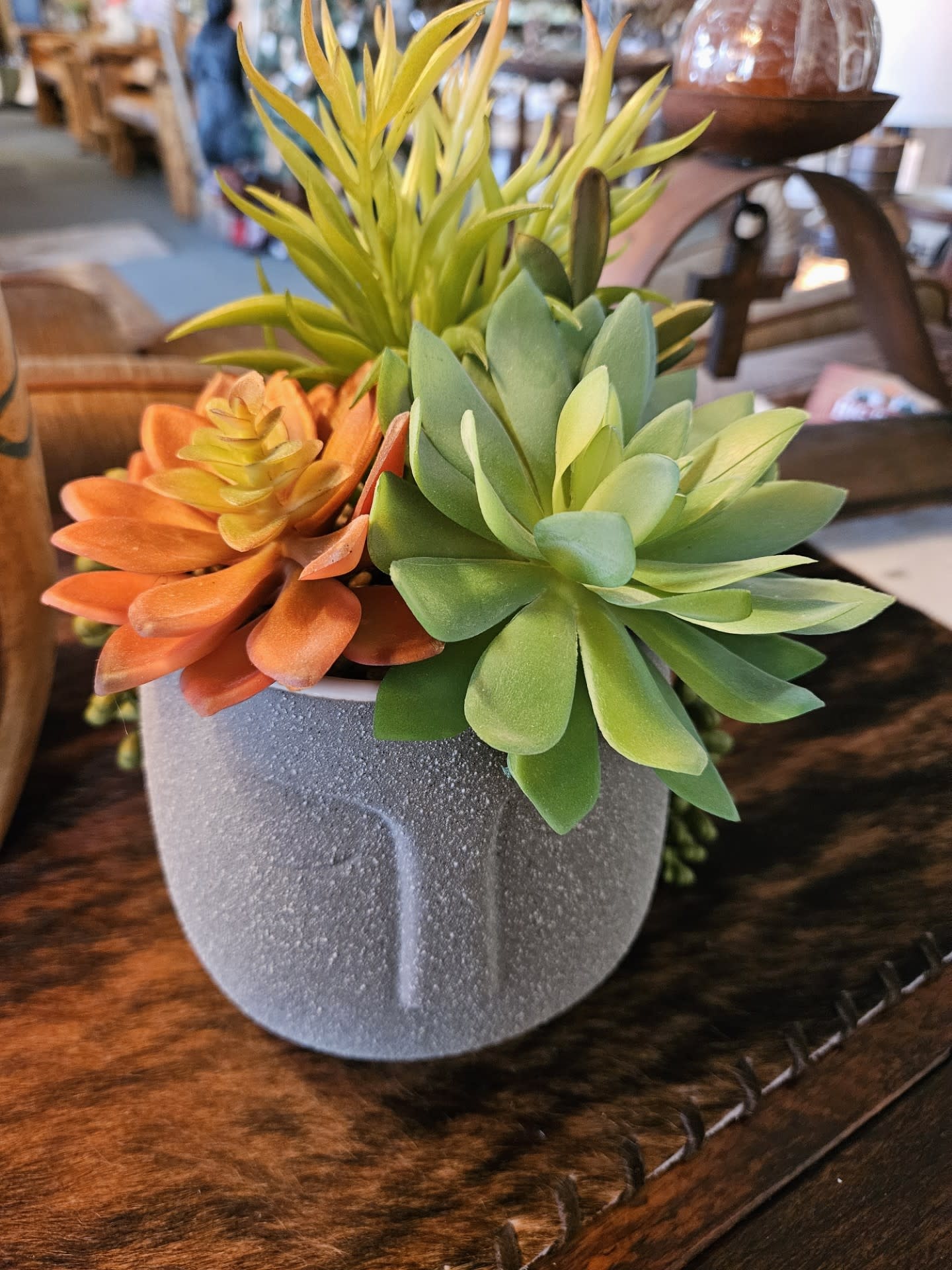 D&W Silks Mixed Succulents in Aztec Grey Pot 9Dia x 10H