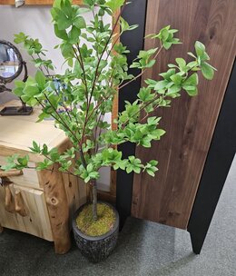 D&W Silks Douban Tree in Bl Sawyer Planter 26Dia x 60H****