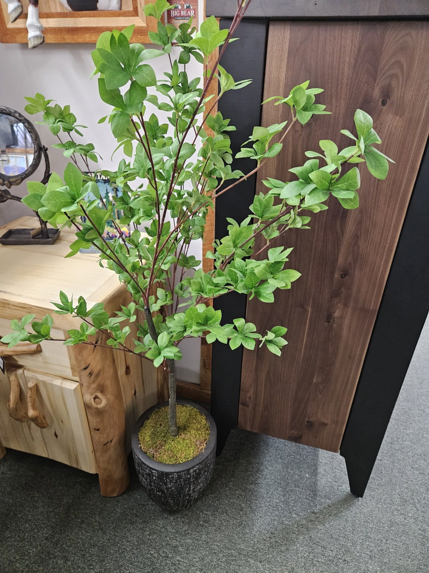 D&W Silks Douban Tree in Bl Sawyer Planter 26Dia x 60H****