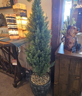 D&W Silks Cedar Topiary in Black Container 15Dia x 54H