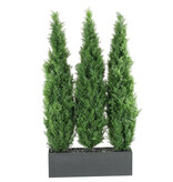 D&W Silks 6'Cedar Tree Screen in Rect Planter 36W x 72H