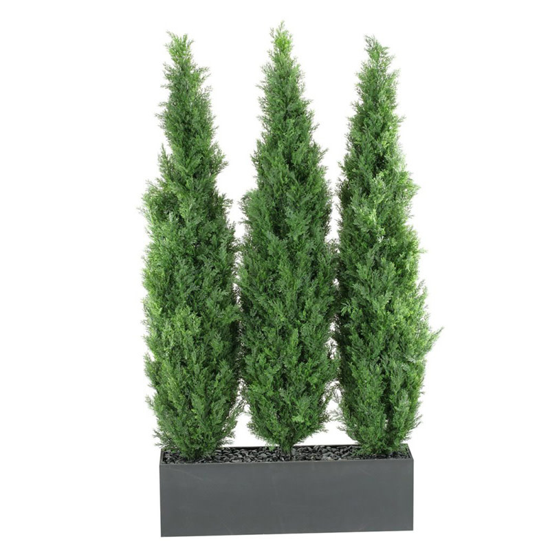 D&W Silks 6'Cedar Tree Screen in Rect Planter 36W x 72H