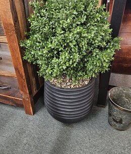 D&W Silks Overgrown Boxwood Ball in Bl Planter 23Dia x 33H