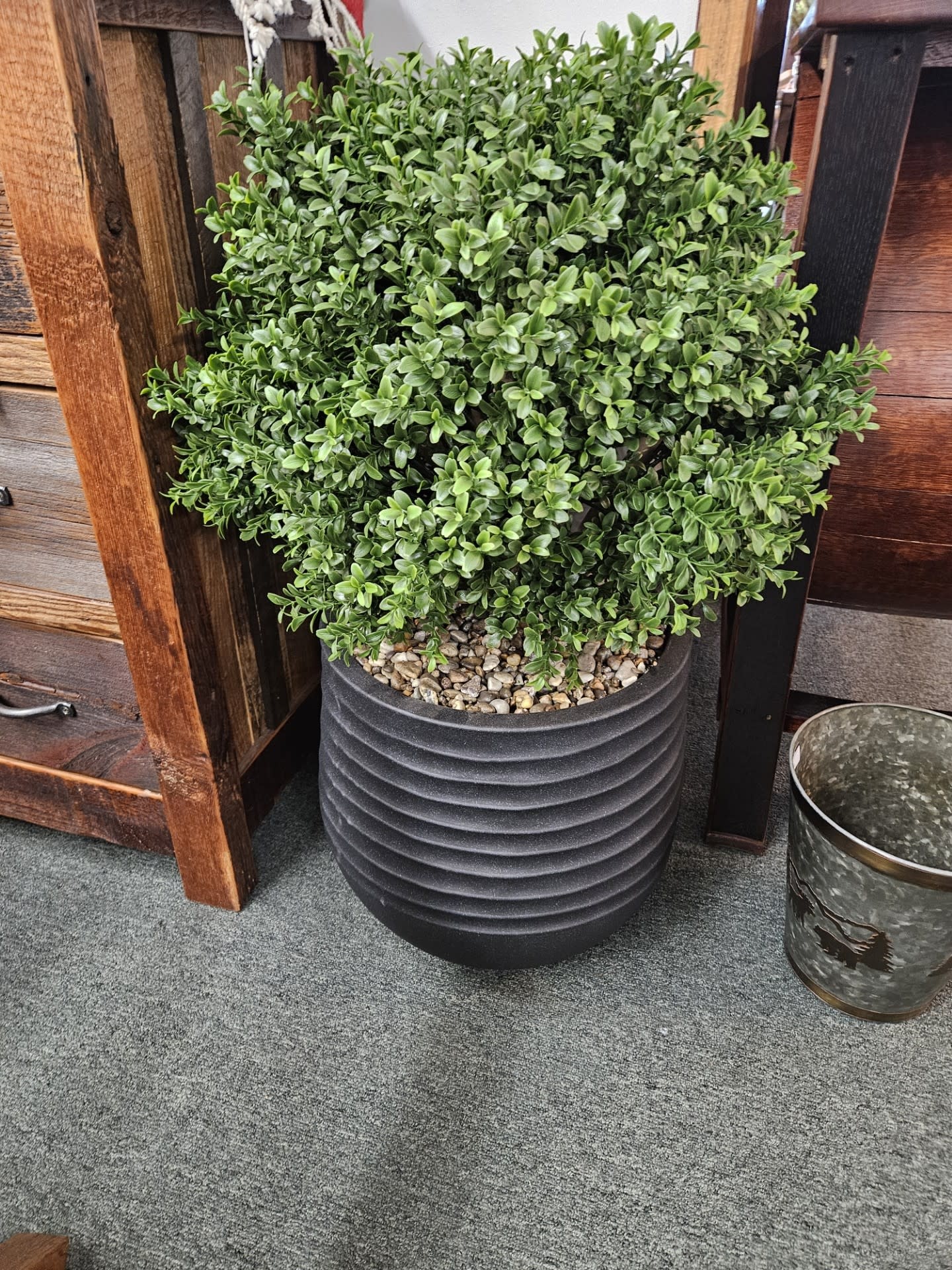 D&W Silks Overgrown Boxwood Ball in Bl Planter 23Dia x 33H