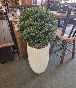 D&W Silks Boxwood Ball in Wh Nell Planter 22Dia x 41H