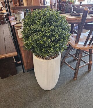 D&W Silks Boxwood Ball in Wh Nell Planter 22Dia x 41H