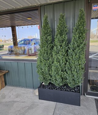 D&W Silks 6' Cedar Tree Screen in Rect Planter 36W x 72H