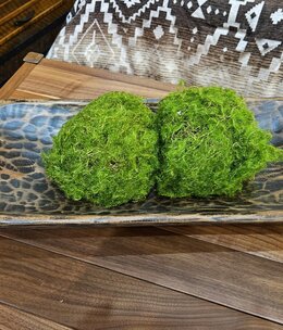 Melrose Moss Ball------5.5"Diameter