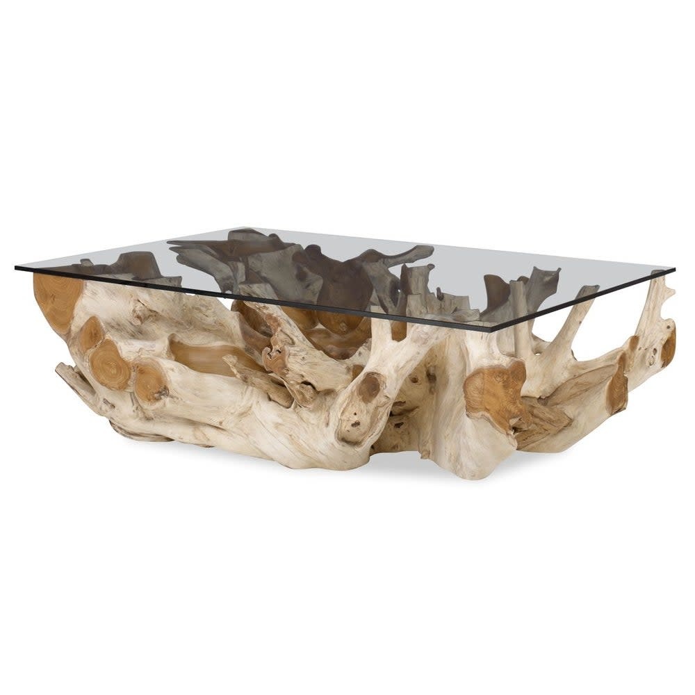 Uttermost Center Root Coffee Table 58x38x16H