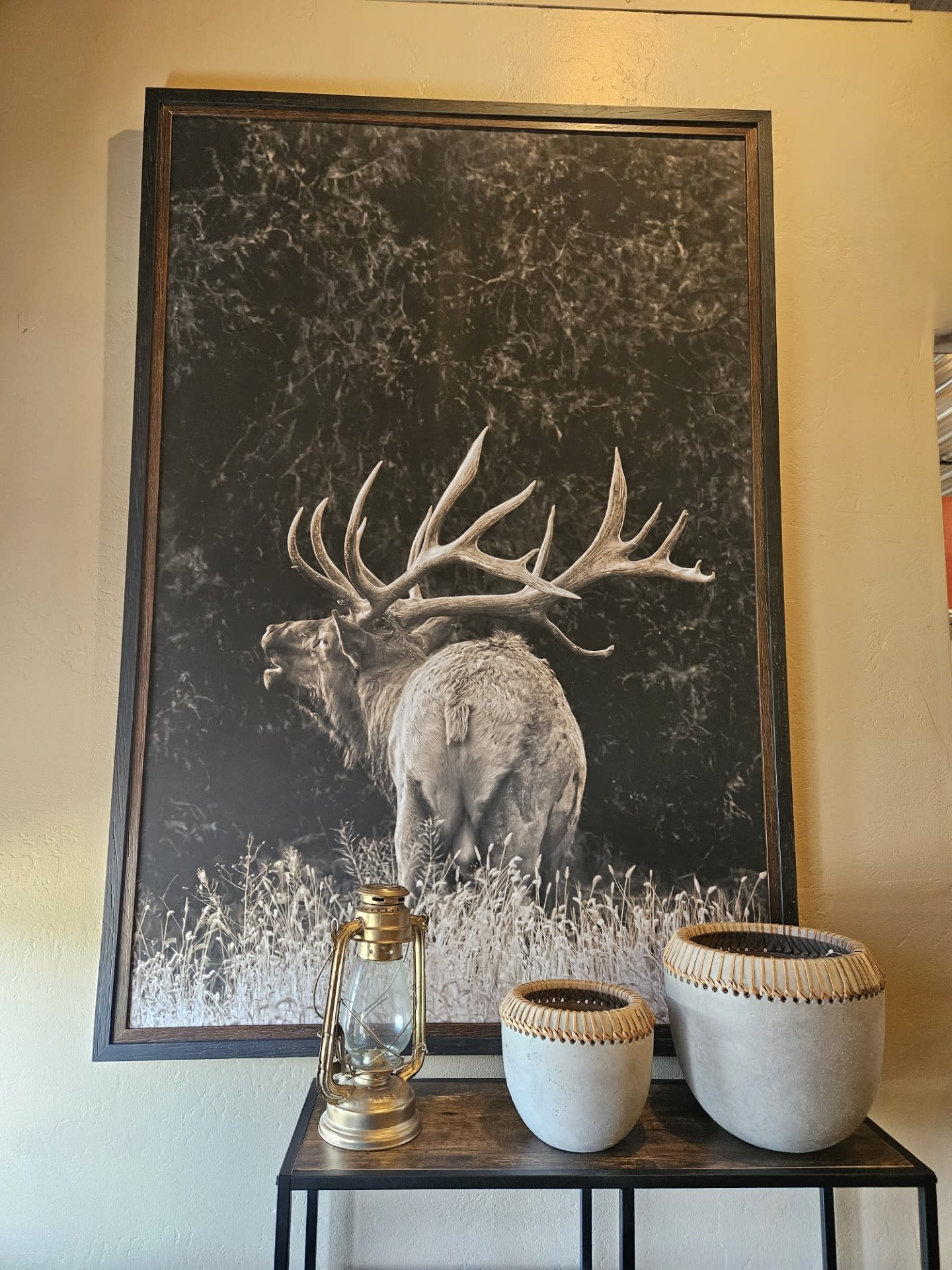 TAC First Call   (Elk Sepia)  43.25x63.25