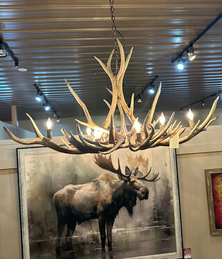 BIG BEAR Elk Oval Antler Chandelier