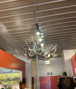 BIG BEAR MD6M, Mule Deer Antler Chandelier 6 Lights BIG BEAR MD6M, Mule Deer Antler Chandelier 6 Lights