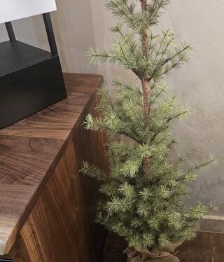 Sullivans 4' Mixed Pine Tree 19.5Dia,  TR1202