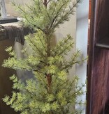 Sullivans 5' Mixed Pine Tree 25"Diameter,  TR1203