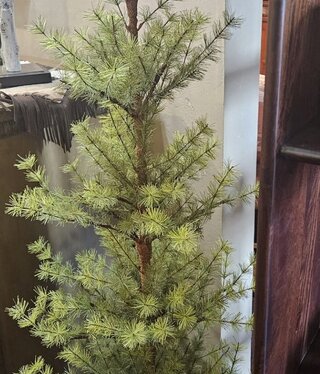 Sullivans 5' Mixed Pine Tree 25"Diameter,  TR1203