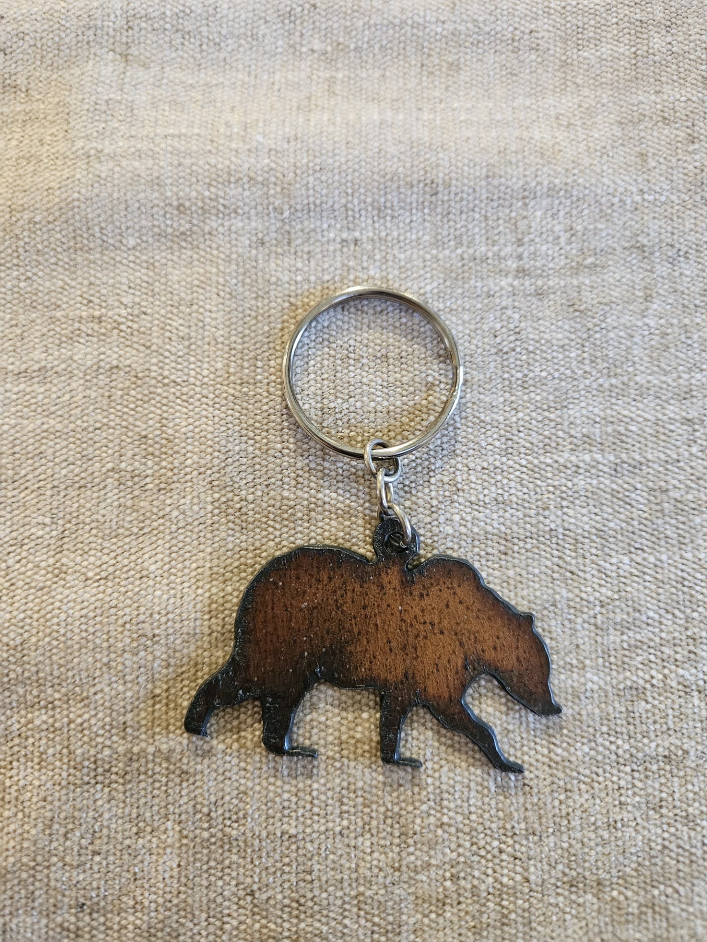 cool water jewelry KC17 Grizzly Key Ring
