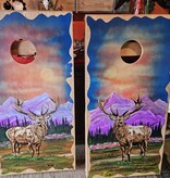 MCE Industries Corn Hole Game Board Set