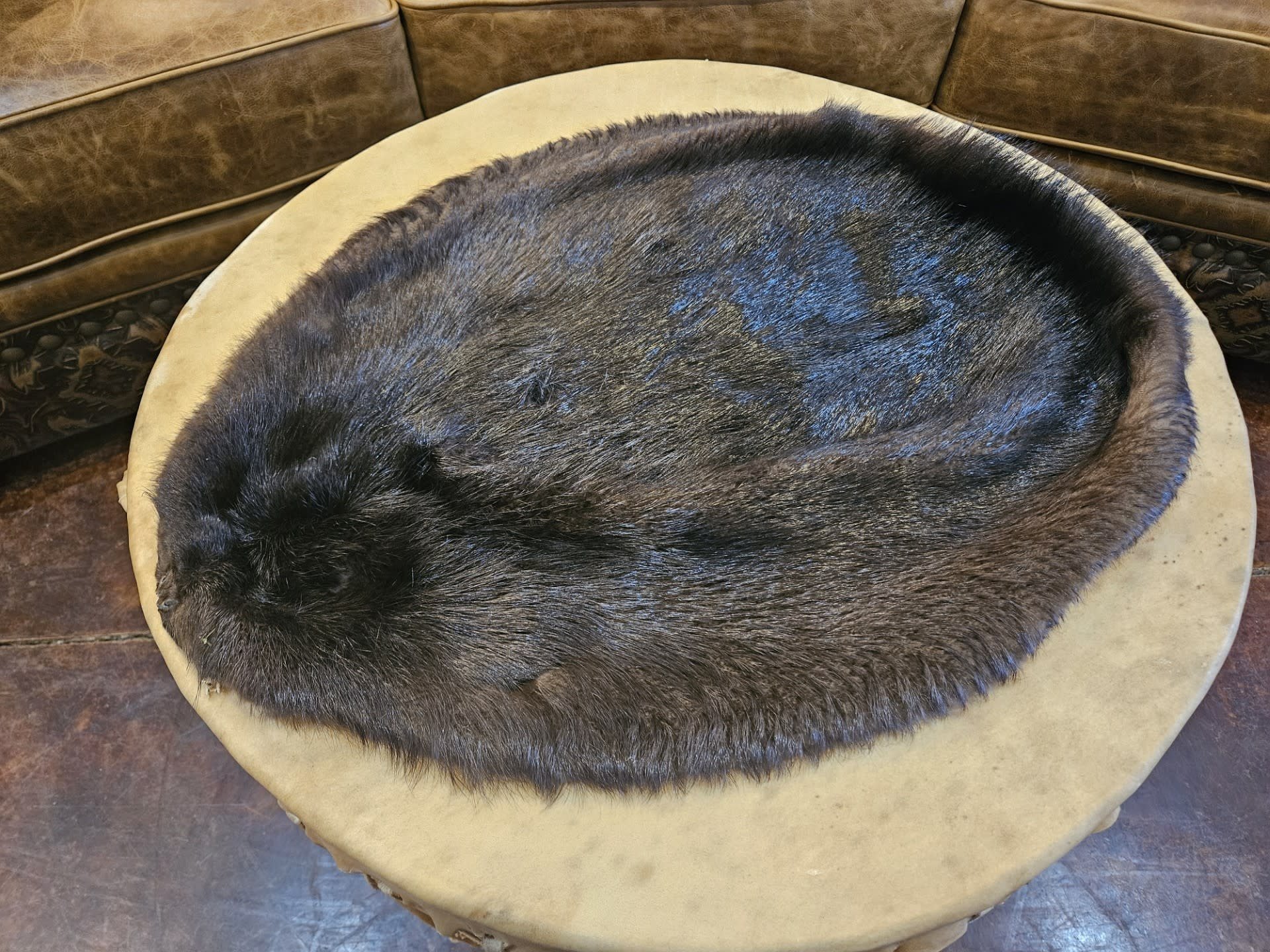 Todd Traucht Black Beaver Pelt