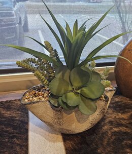 D&W Silks Greenery & Succulents in Sm Luna Bowl