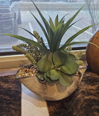 D&W Silks Greenery & Succulents in Sm Luna Bowl