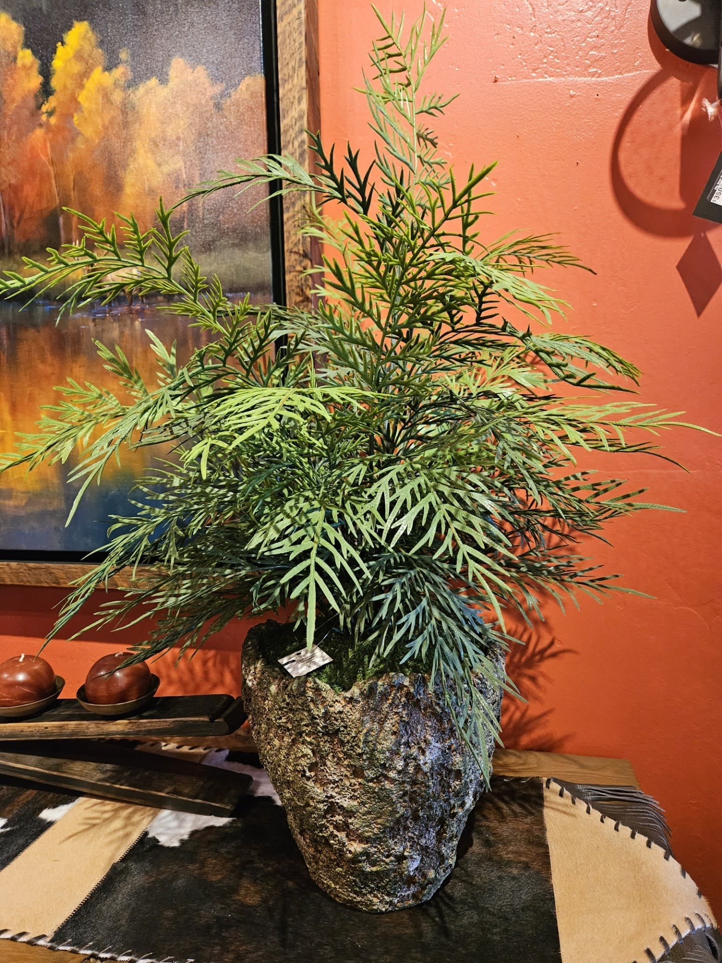 D&W Silks Fern in XL Ancient Grove Pot