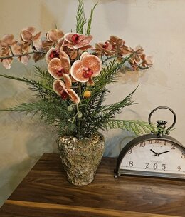 D&W Silks Red Phael Orchids, Ferns & Dragonwood LG Ancient Grove Pot