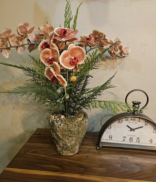 D&W Silks Red Phael Orchids, Ferns & Dragonwood LG Ancient Grove Pot