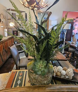 D&W Silks Asst Greenery,Succulents & Dragonwood in Ancient Grove Pot