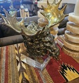 Uttermost Moose Bust Sculpture 12W x 12D x 9H