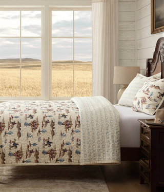 Hiend Desert Trail Rev 3pc Quilt Set, QUEEN, Sandstone