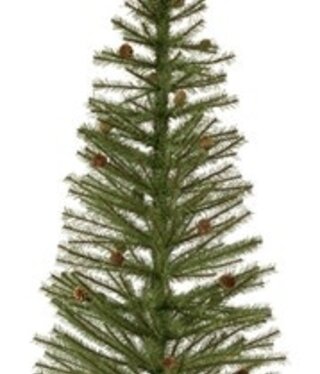 Melrose Pine Tree in Burlap Sack 4'H
