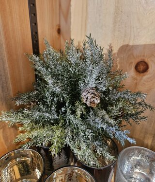 Melrose Icy Pine Half Orb 6.5"D