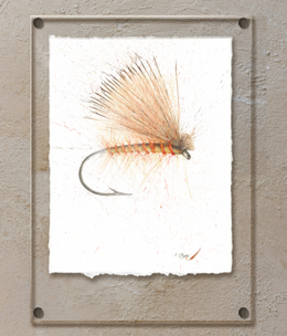 TAC Elk Hair Caddis