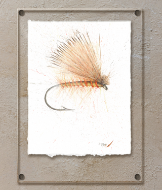 TAC Elk Hair Caddis