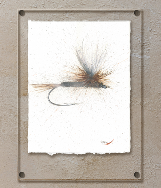 TAC Parachute Adams