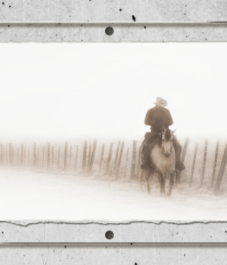 TAC Riding Fence